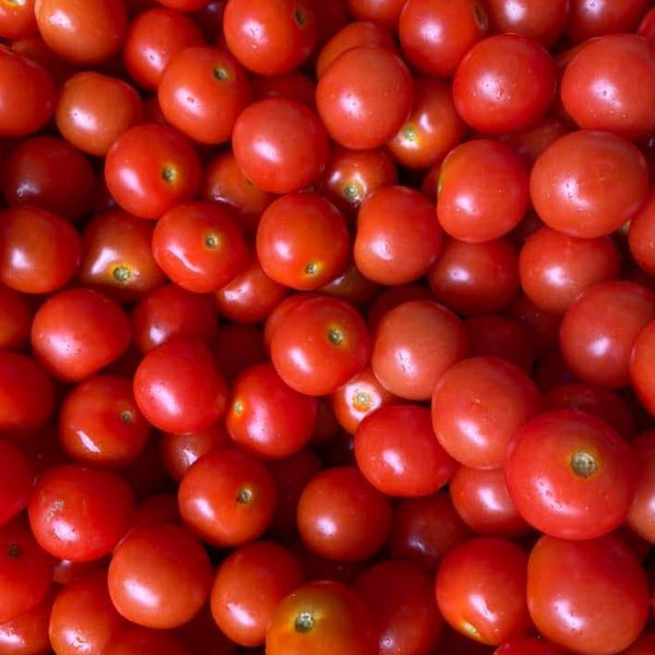 Cherry Tomato Punnet - 250g