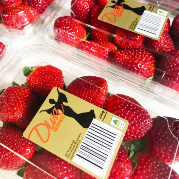 Premium Strawberries 250g