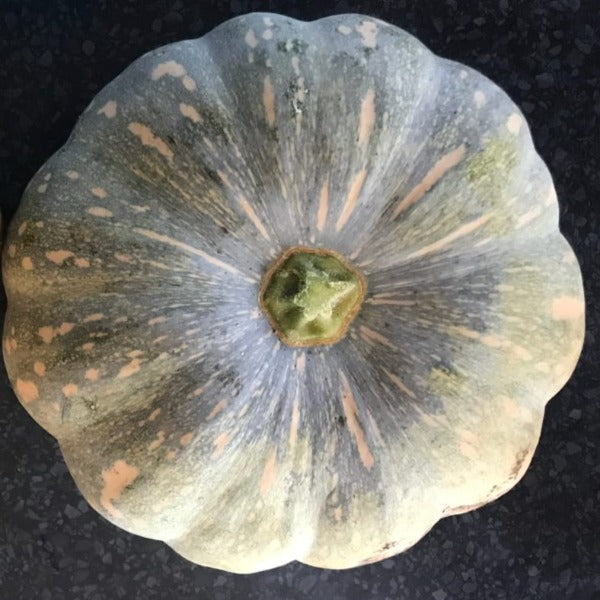 Organic Kent Pumpkin 2-3kg