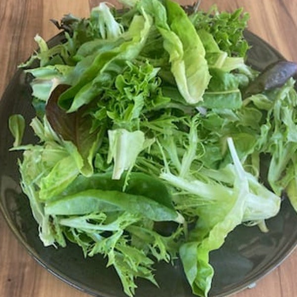 Organic Salad Leaves - Salanova - 250g Bag