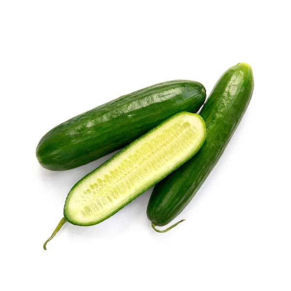 Cucumber - Lebanese - 3 Pack