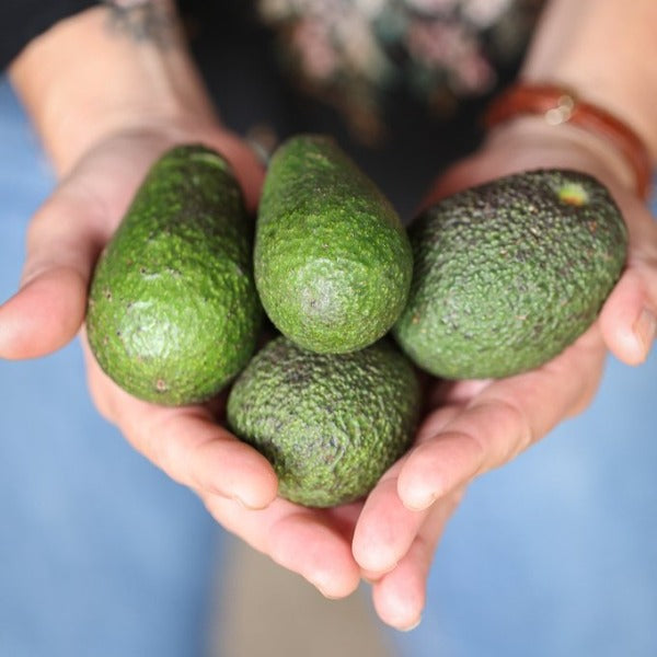 Hass Avocados Mini (pack of 3)